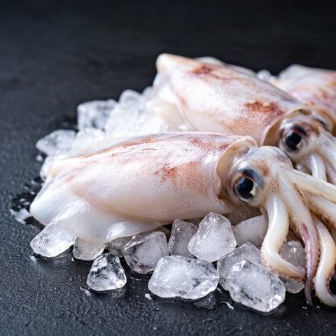 Frozen Cuttlefish 500g