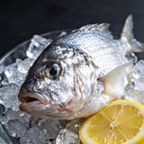 Silver Pomfret 500g